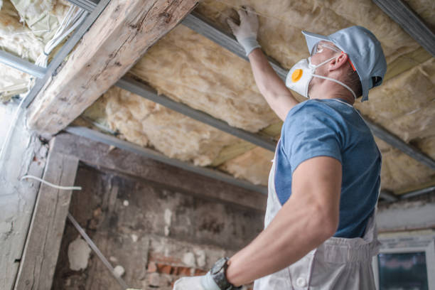 Best Eco-Friendly Insulation in Park Ridge, NJ